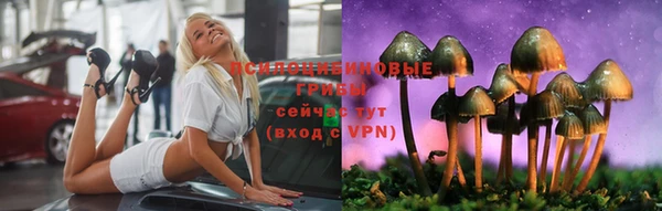 дмт Беломорск