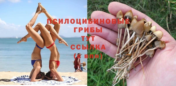 spice Белоозёрский
