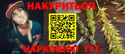 сатива Новодвинск