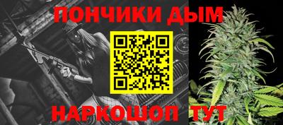 сатива Новодвинск