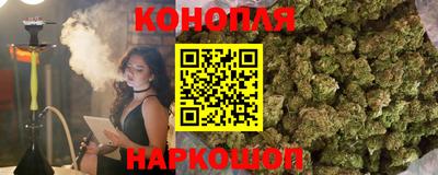 jwh Новокубанск