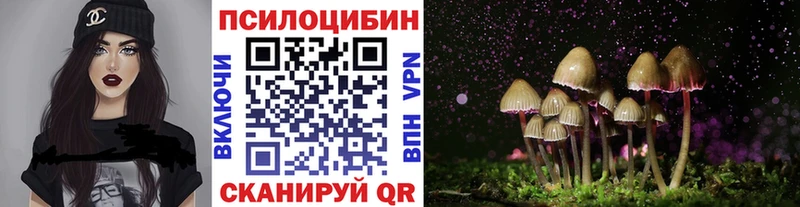 купить наркотики цена  Дальнегорск  Галлюциногенные грибы Psilocybe 