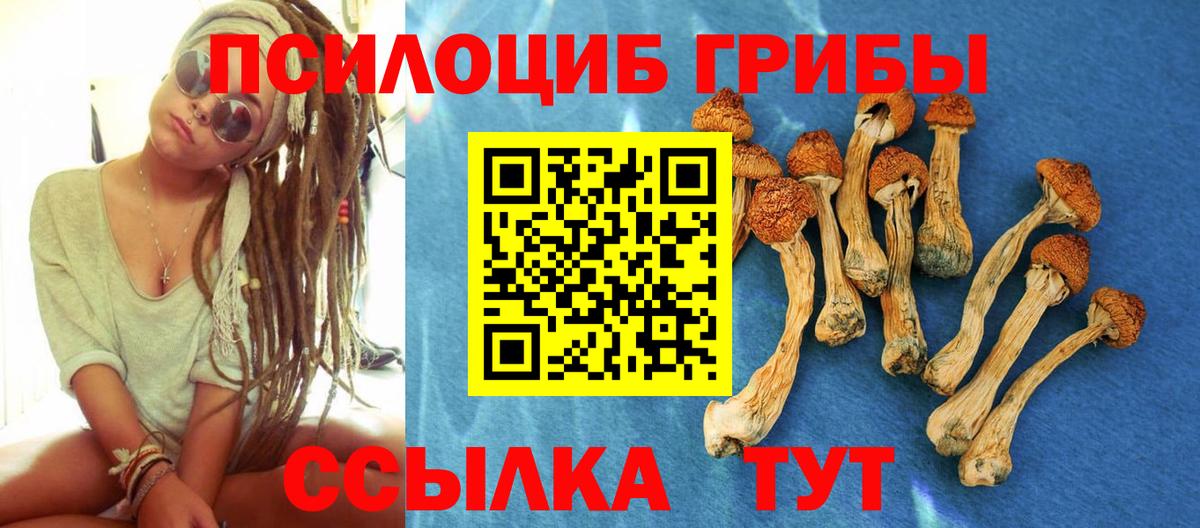 Галлюциногенные грибы ЛСД Дальнегорск