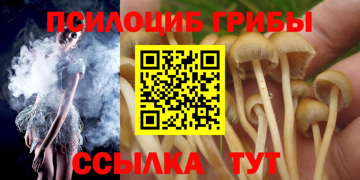Дальнегорск  Галлюциногенные грибы Psilocybe  Галлюциногенные грибы Cubensis  Вход с VPN 